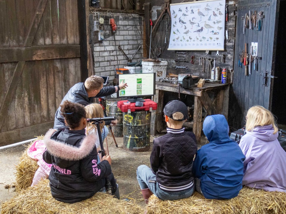 Gallery thumbnail